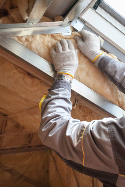 Types of Insulation We Offer in Bunnell, FL