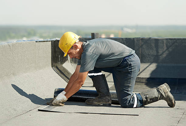 Best Specialized Insulation Services in Bunnell, FL