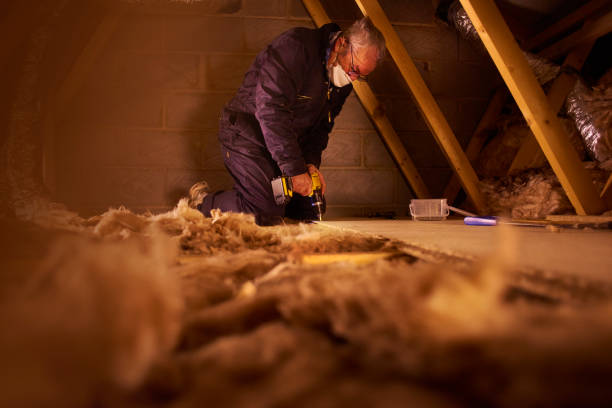 Types of Insulation We Offer in Bunnell, FL